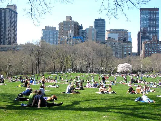 Rented by City Connections Realty | media 7