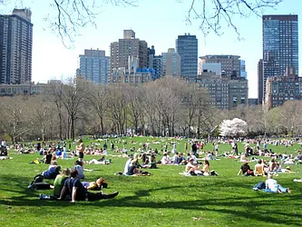 Rented by City Connections Realty