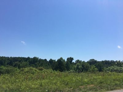 Radiant City Rd, Nauvoo, AL, 35578