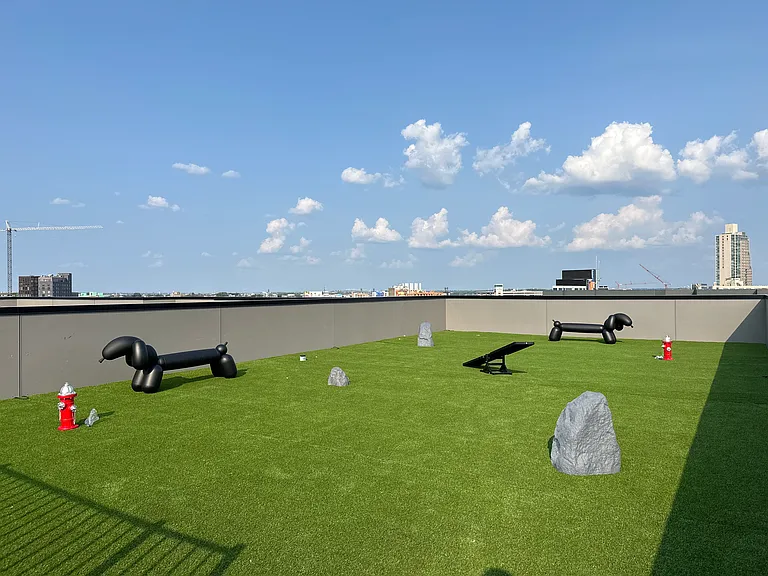 Dog Park