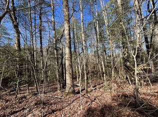 269 Cajun Ln, Ellijay, GA 30540