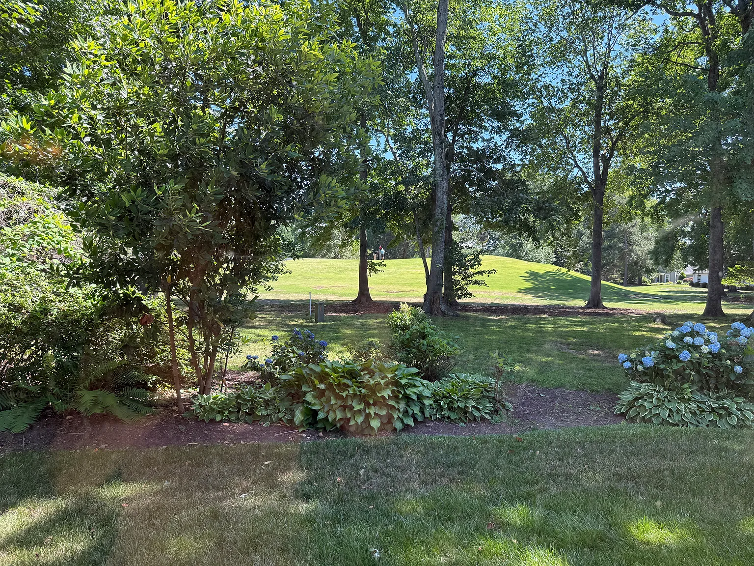 1301 Eagles Trace Path — Photo 4