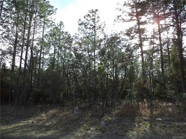 8520 N Linwood Loop, Citrus Springs, FL 34433