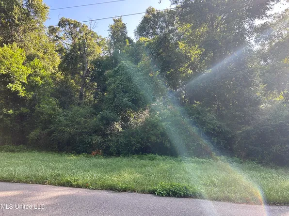 Jackson Landing Rd, Picayune, MS 39466