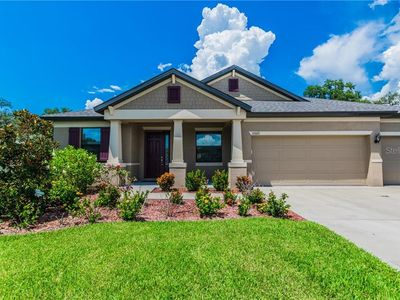 11020 Brahman Ranch Cir, Riverview, FL, 33578