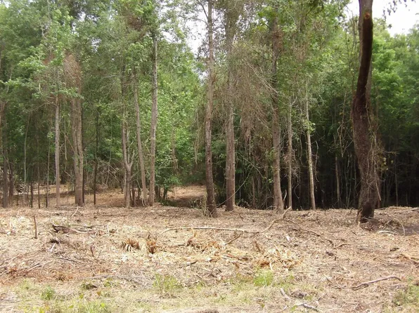 Fm 134, Jefferson, TX 75657