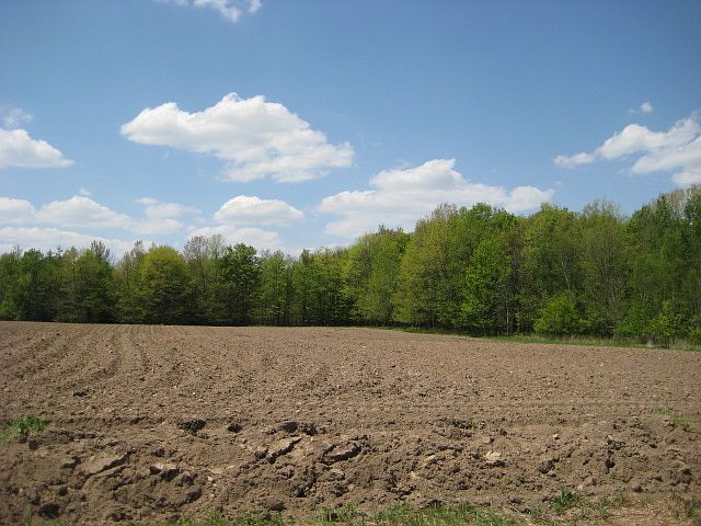 2nd image of 660 Mason Rd