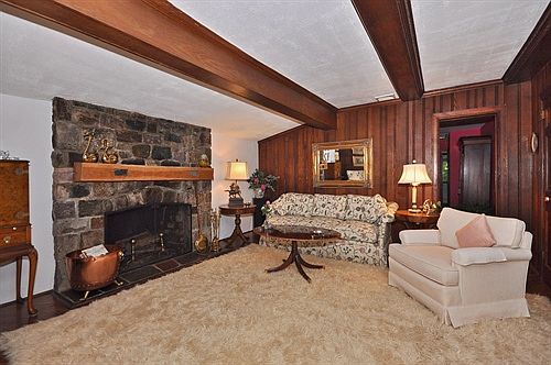 Wood burning fireplace