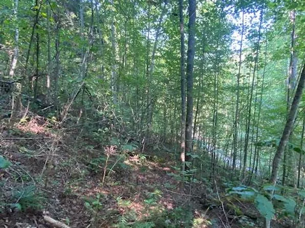 LOT 413 E Obey Ln, Wilder, TN 38589