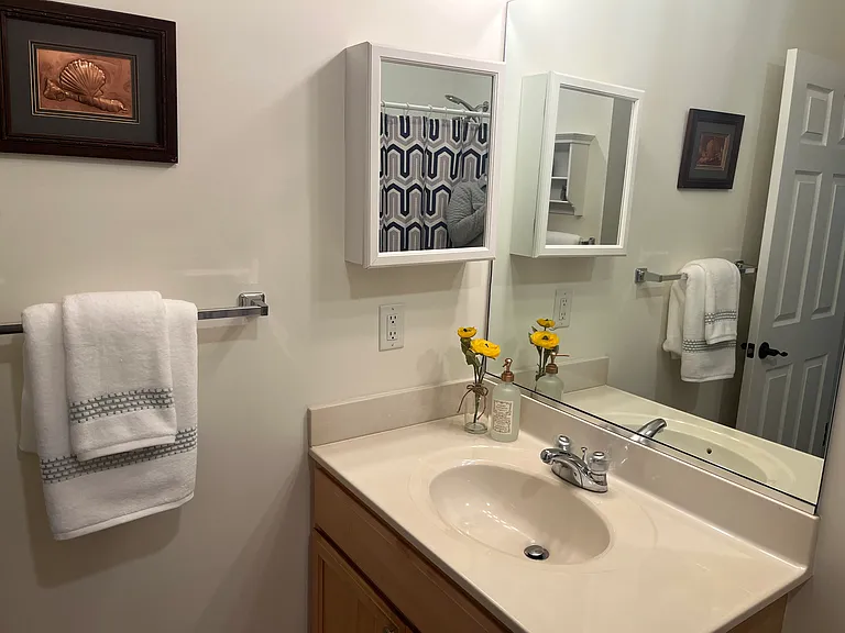 33156 N Village Loop #4205 — Photo 16