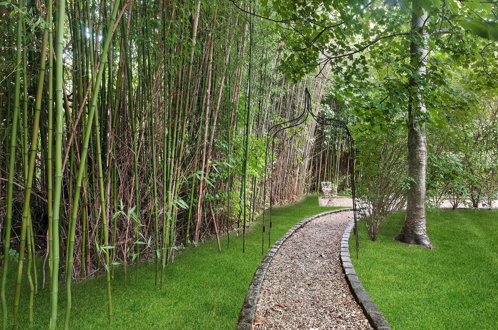  Bamboo Lined Walkway 