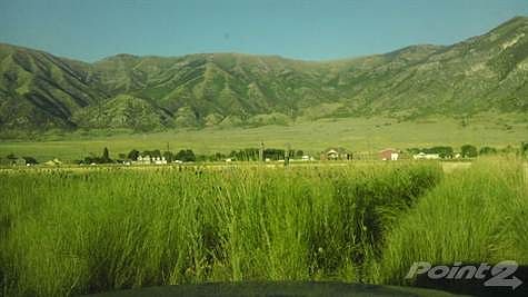 IMAG0164
