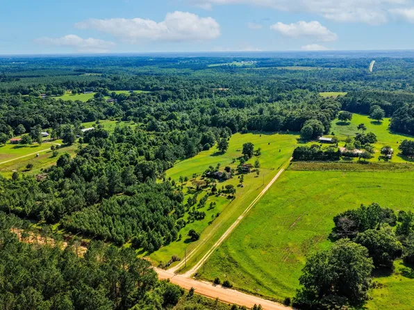 26541 Old Boggy Rd, Opp, AL 36467