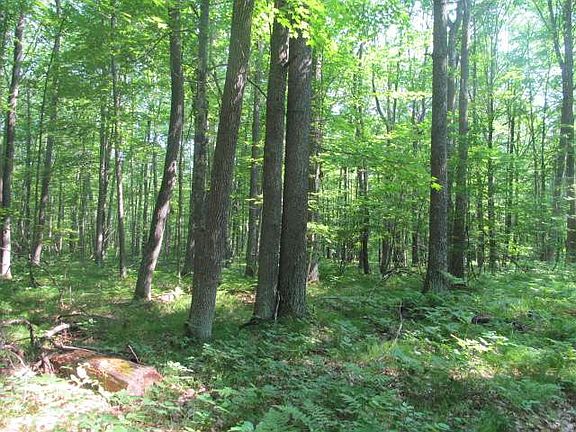 4th image of ON BLUEBIRD RD #484 ACRES