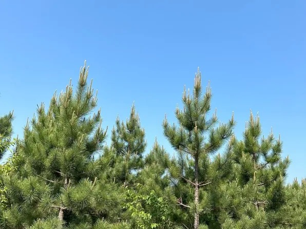 Lund Rd Lot 18, Tomahawk, WI 54487