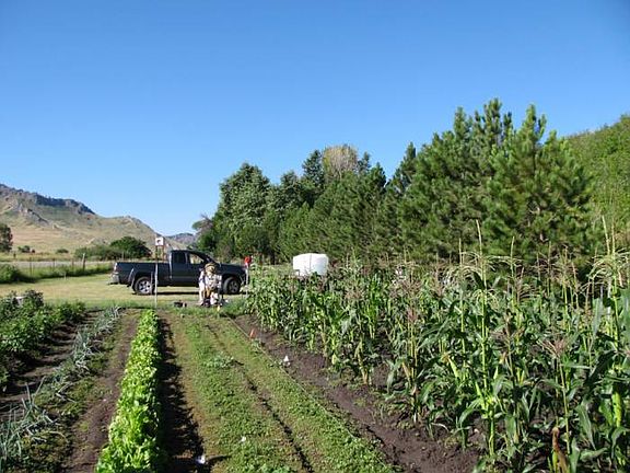 Garden Area