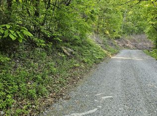 0 Neddy Mountain Rd, Del Rio, TN 37727