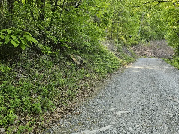 0 Neddy Mountain Rd, Del Rio, TN 37727