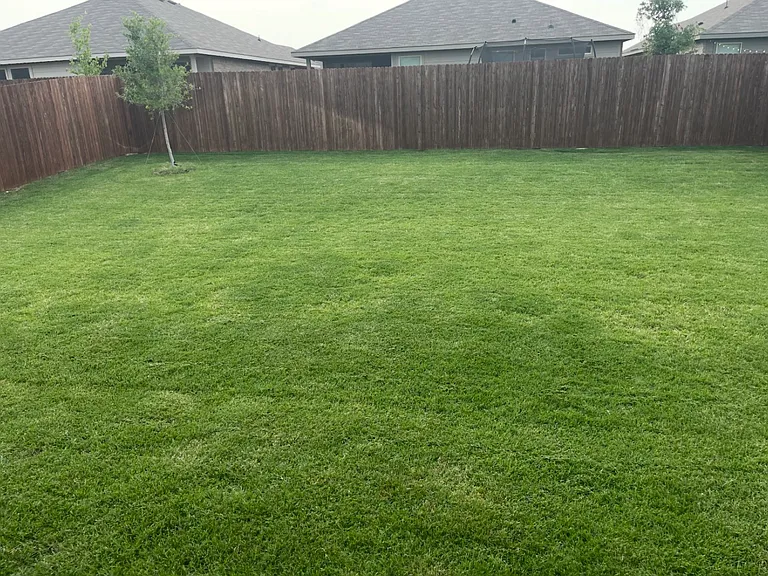 5208 Blue Night Dr — Photo 19