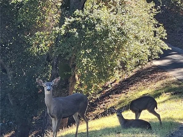 2155 San Fernando Rd Lot 16, Atascadero, CA 93422