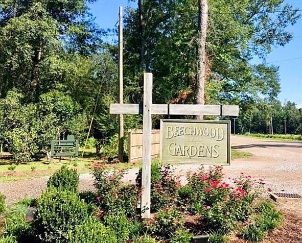 1st image of Bamboo Ln