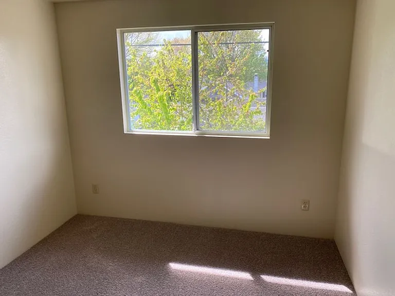 329 Bessie St — Photo 17