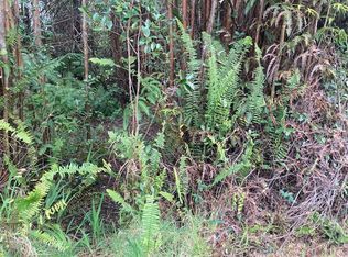 Road 5 LOT 286, Volcano, HI 96785