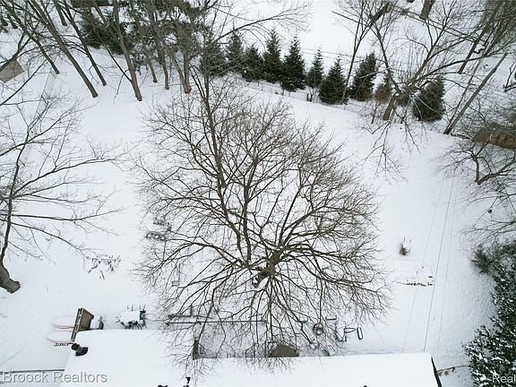 4th image of 32700 Evergreen Rd