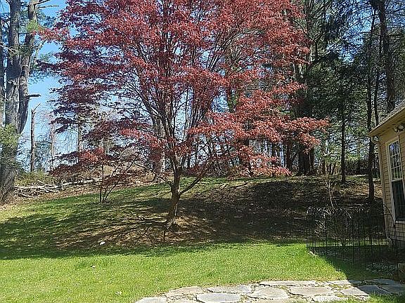 rock pathways, walls, carins