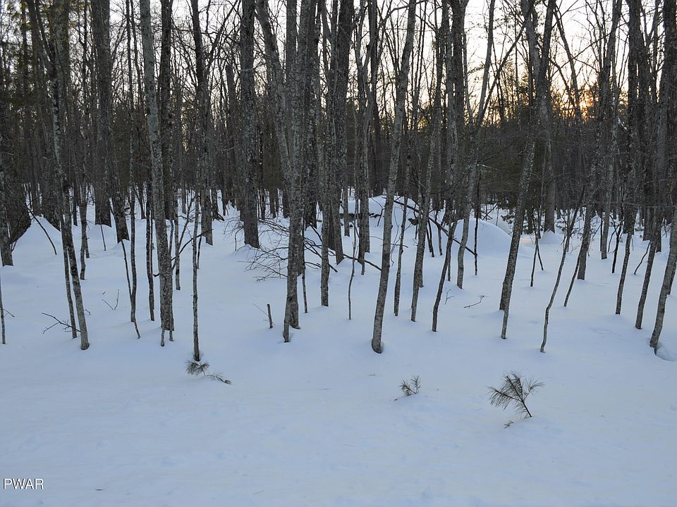 1st image of Bear Paw Dr