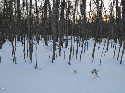 Bear Paw Dr, Lakeville, PA, 18438
