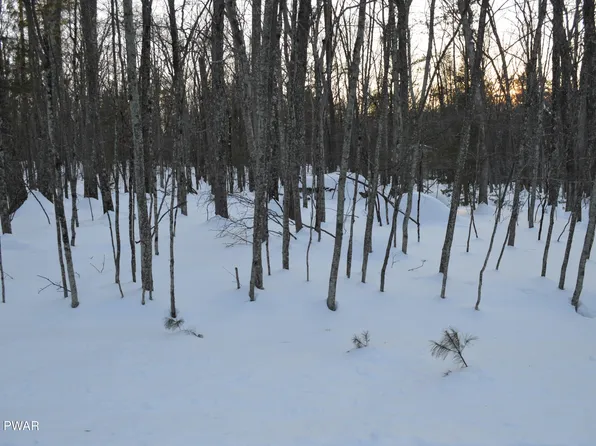 Bear Paw Dr, Lakeville, PA 18438