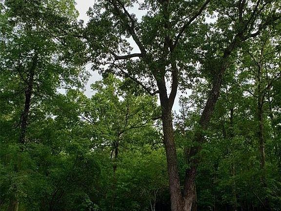 3rd image of 731 Ireland Dr Lot 59