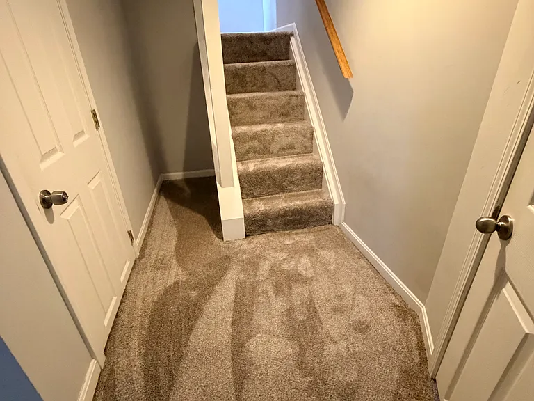 4912 Laurel Ave — Photo 35