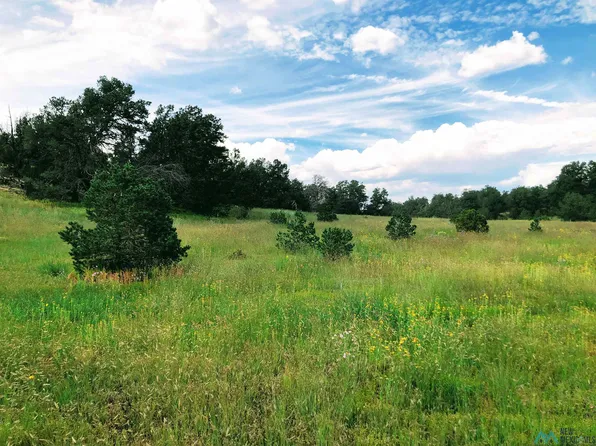Candy Kitchen Rd, Pinehill, NM 87357
