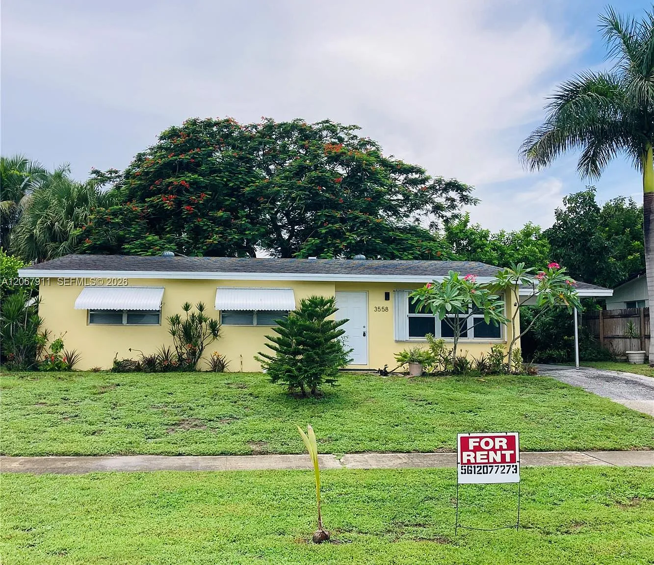 Palm Beach Cabana Colony — Photo 1
