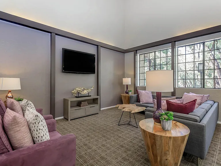 Spring Lakes Apartment Homes — Photo 12