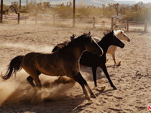 2nd image of 55626 Pipes Canyon Rd