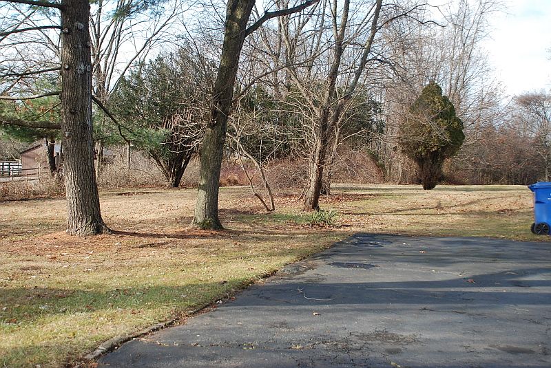 Rear Yard