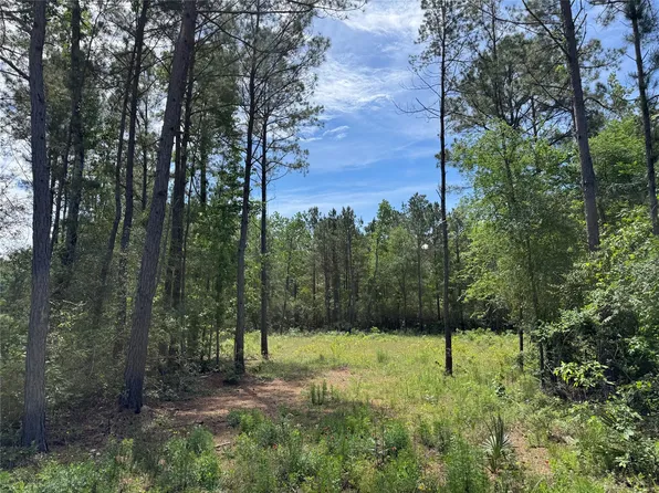7705 Dog Wood Acres Dr Lot 52, Montgomery, TX 77316