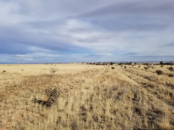 7 Cleveland Rd, Edgewood, NM 87015