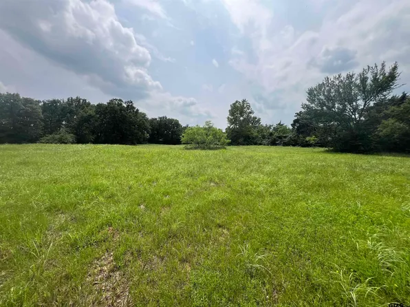 Highway 37, Mount Vernon, TX 75457