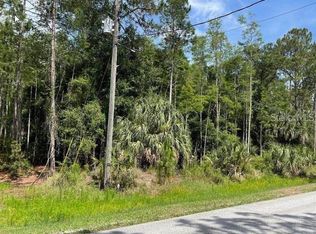 Thunderhead St Lot 267, Wesley Chapel, FL 33544