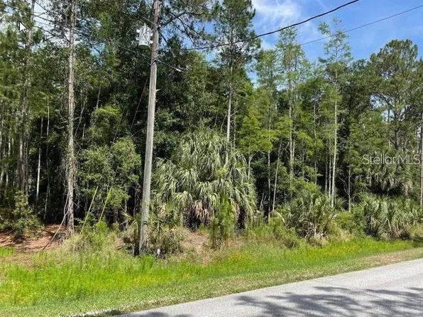 Thunderhead St Lot 267, Wesley Chapel, FL 33544