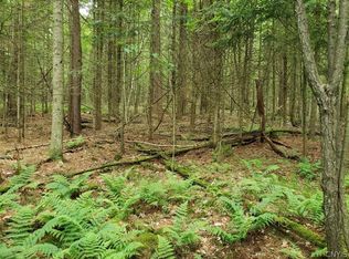 6657 Hodge Rd #7, Lowville, NY 13367