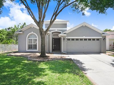 1177 Emerald Hill Way, Valrico, FL, 33594