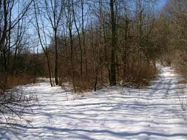 2nd image of 149 Doc Ahlers Rd