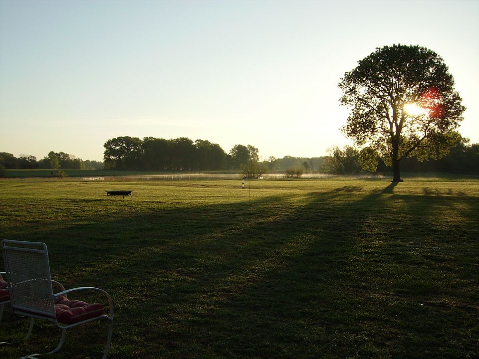 View from back patio