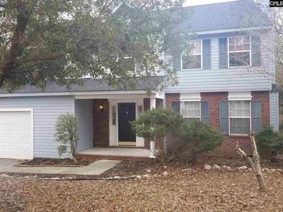 17 Oak Stand Ct, Irmo, SC, 29063