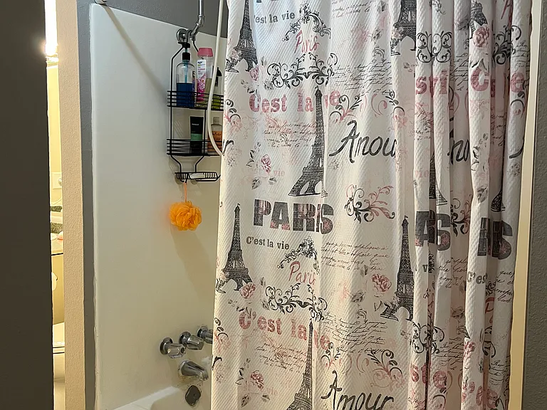 Bathroom soak tub and shower